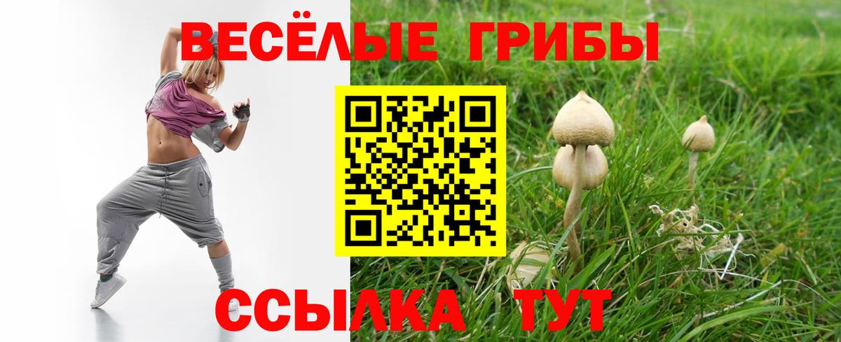 Мытищи  Галлюциногенные грибы Magic Shrooms  Вход с VPN 