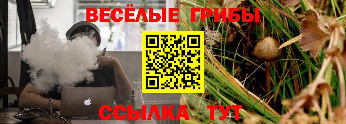 Псилоцибиновые грибы MAGIC MUSHROOMS Мытищи