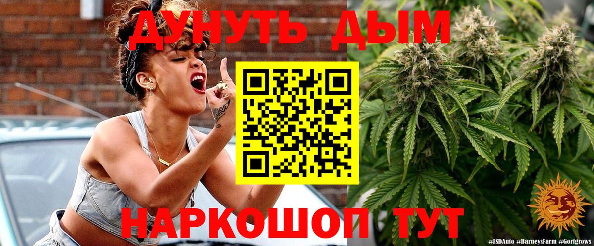 Канабис сатива Мытищи